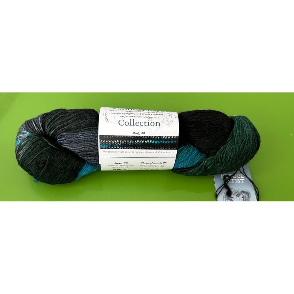 Fleece Artist National Parks Banff AB Festival Socks Yarn Merino Silk Mohair
